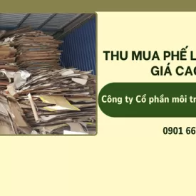 DỊCH VỤ THU MUA PHẾ LIỆU GIẤY GIÁ CAO Ở TP.HCM