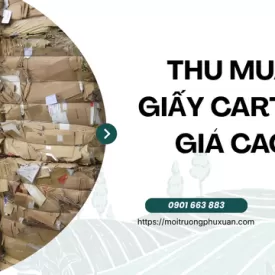 Thu mua giấy carton giá cao