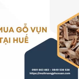 Thu mua gỗ vụn tại Huế