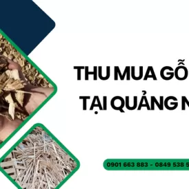 Thu mua gỗ vụn tại Quảng Ngãi