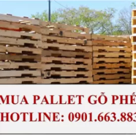 THU MUA PALLET GỖ PHẾ LIỆU GIÁ CAO TẠI BÌNH DƯƠNG