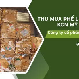 THU MUA PHẾ LIỆU GIẤY Ở KCN MỸ PHƯỚC 3