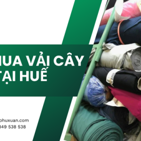 Thu mua vải cây tại Huế