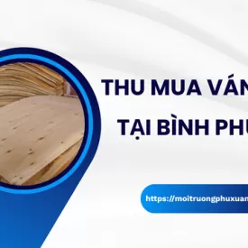 Thu mua ván lạng tại Bình Phước