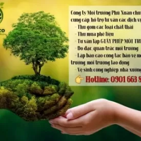 XỬ PHẠT TRONG LĨNH VỰC BẢO VỆ MÔI TRƯỜNG TRƯỜNG HỢP KHÔNG CÓ GIẤY PHÉP MÔI TRƯỜNG