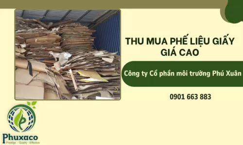 Dịch vụ thu mua phế liệu giấy giá cao ở TP.HCM