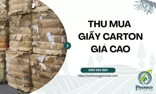 Thu mua giấy carton giá cao