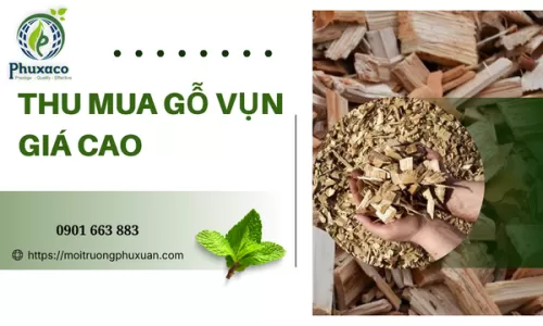 Thu mua gỗ vụn giá cao