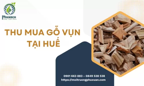 Thu mua gỗ vụn tại Huế