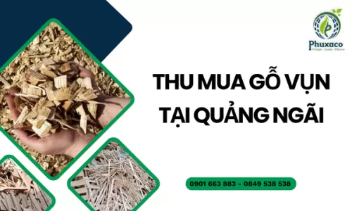 Thu mua gỗ vụn tại Quảng Ngãi