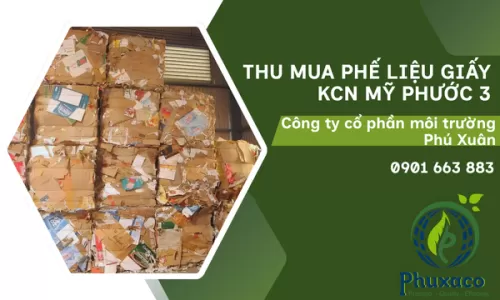 Thu mua phế liệu giấy ở KCN Mỹ Phước 3