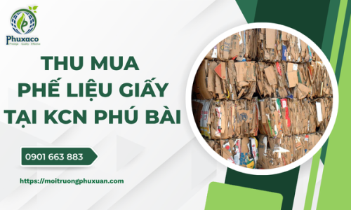 Thu mua phế liệu giấy tại KCN Phú Bài