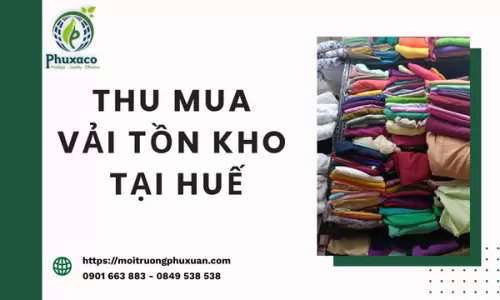 Thu mua vải tồn kho tại Huế