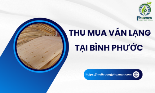 Thu mua ván lạng tại Bình Phước