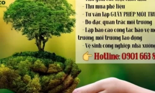 XỬ PHẠT TRONG LĨNH VỰC BẢO VỆ MÔI TRƯỜNG TRƯỜNG HỢP KHÔNG CÓ GIẤY PHÉP MÔI TRƯỜNG