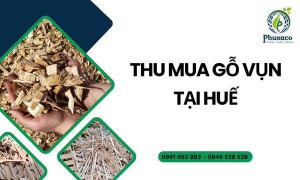 Thu mua gỗ vụn tại Huế