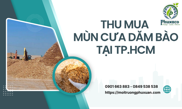 Thu mua mùn cưa dăm bào tại TP.HCM
