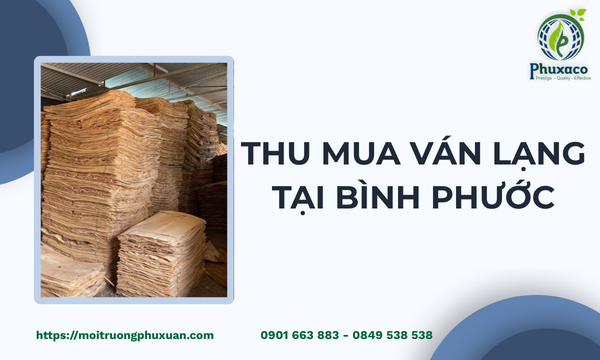 Thu mua ván lạng tại Bình Phước