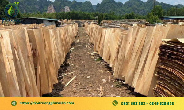 Thu mua ván lạng tại Bình Phước