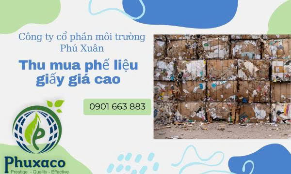 Dịch Vụ Thu Mua Phế Liệu Giấy Giá Cao Ở TP.HCM