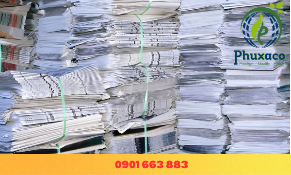 Dịch Vụ Thu Mua Phế Liệu Giấy Giá Cao Ở TP.HCM