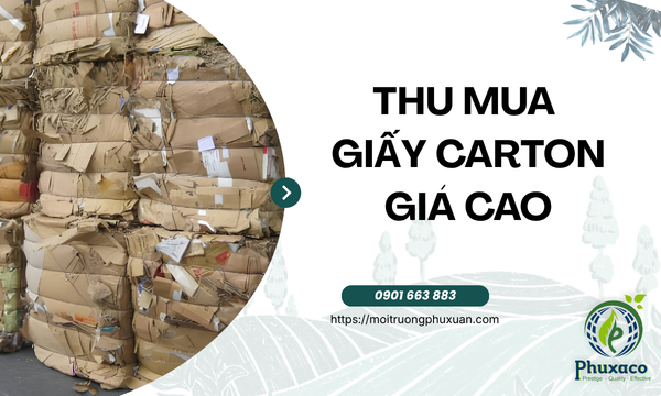Thu mua giấy carton giá cao