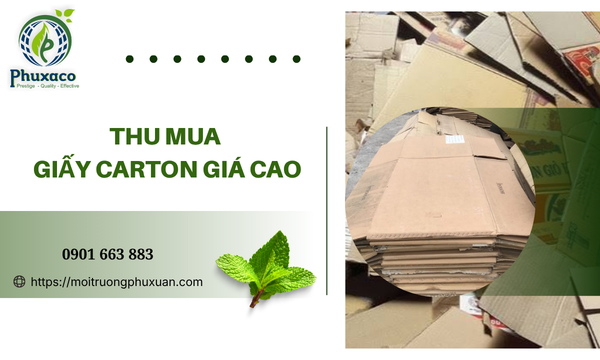 Thu mua giấy carton giá cao