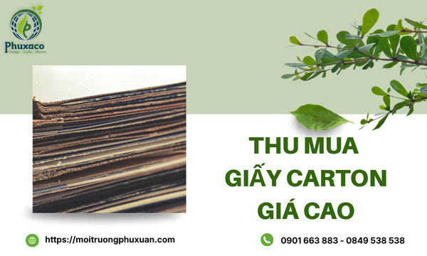 Thu mua giấy carton giá cao
