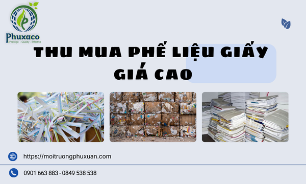 Thu mua phế liệu giấy giá cao 