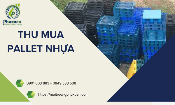 Thu mua pallet nhựa