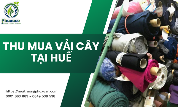 Thu mua vải cây tại Huế