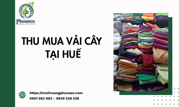 Thu mua vải cây tại Huế