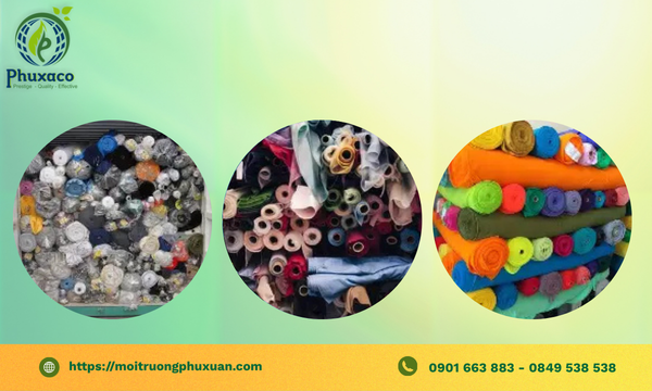 Thu mua vải cây tại Huế