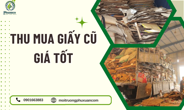 Thu Mua Giấy Cũ Giá Tốt – Giải Pháp Thu Hồi Phế Liệu Hiệu Quả, Nhanh Chóng Và Uy Tín