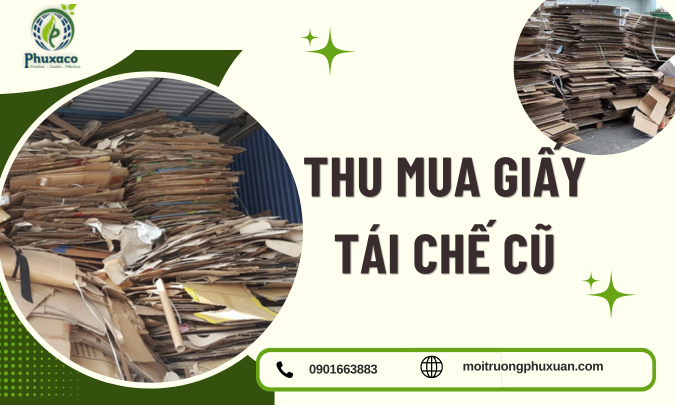 Thu Mua Giấy Tái Chế Cũ – Giải Pháp Bền Vững Và Tiết Kiệm Cho Doanh Nghiệp