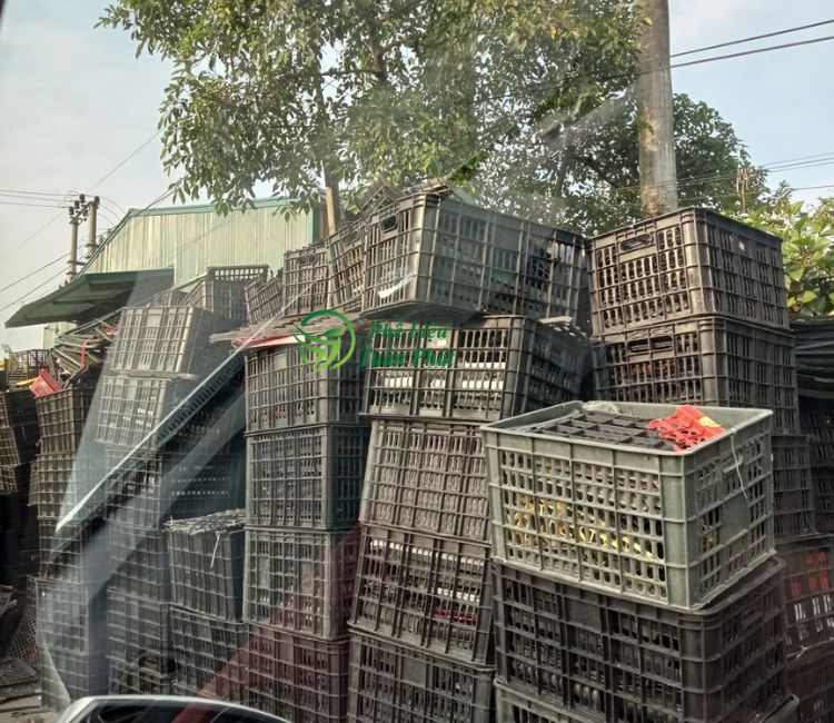 Lợi Ích Khi Sử Dụng Dịch Vụ Thu Mua Nhựa Cũ TP.HCM